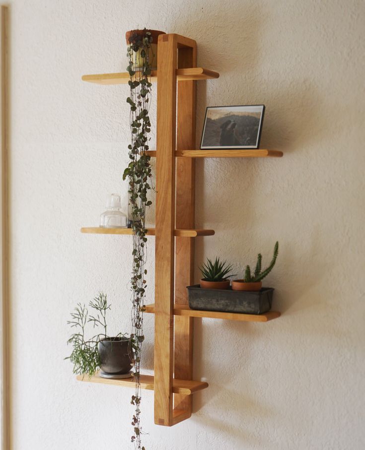 three wooden shelves with plants and pictures on them