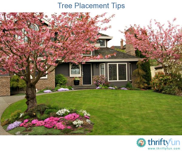 a house with flowering trees in the front yard