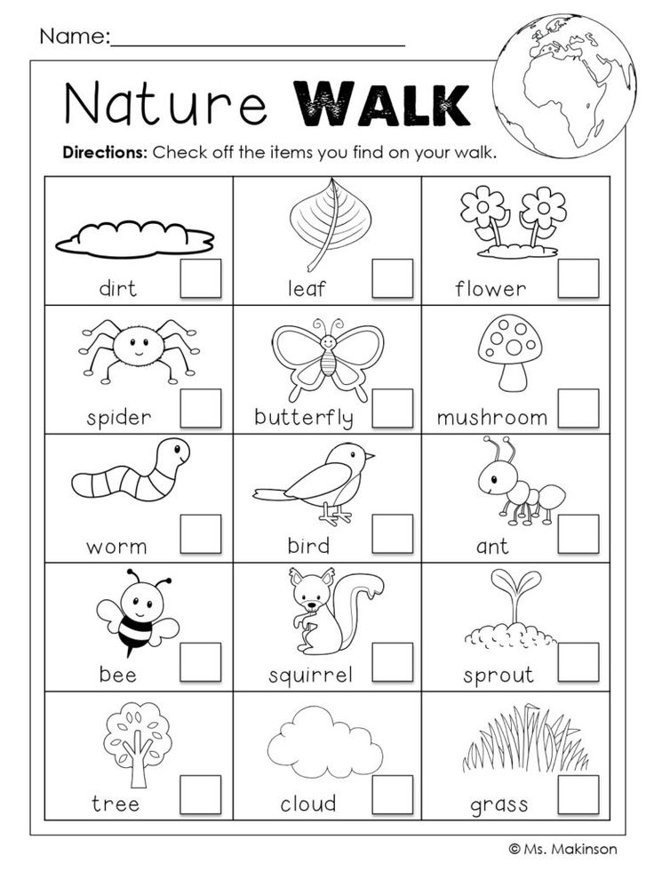 the nature walk worksheet with pictures and words to help kids learn how to write