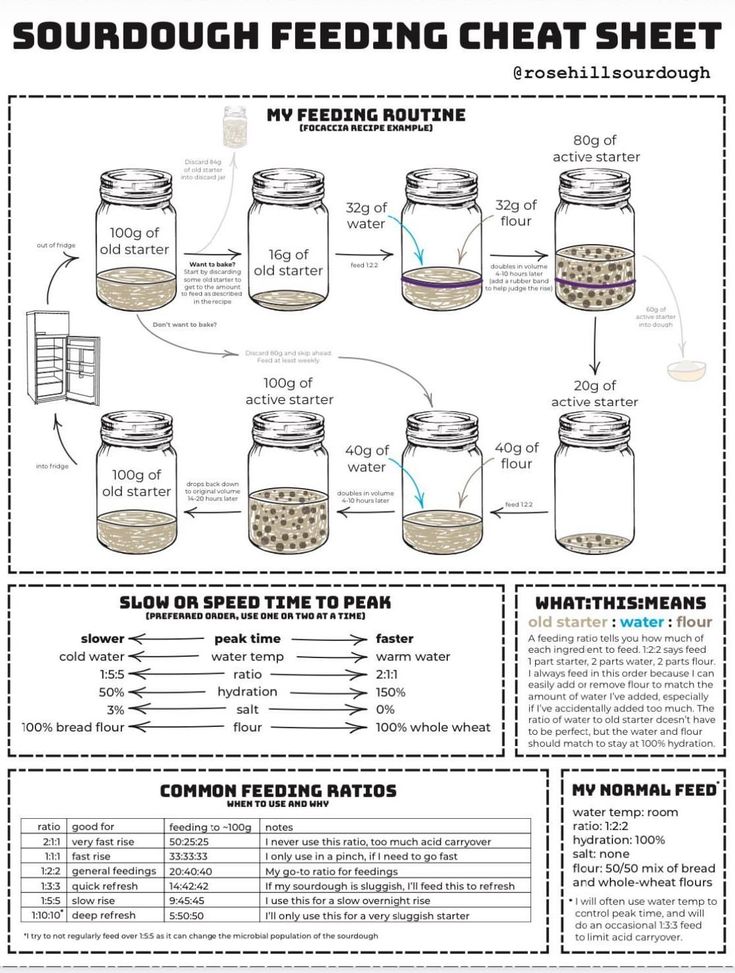 an info sheet describing how to use sourdough feeding chafet sheet