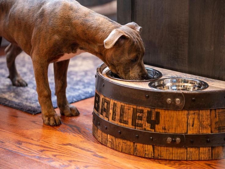 a dog drinking water out of a wooden barrel