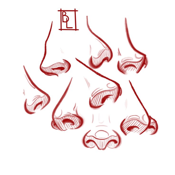 some red lines are drawn in the shape of an animal's nose and mouth