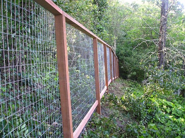 a fenced in area with trees and bushes on both sides, along side a path