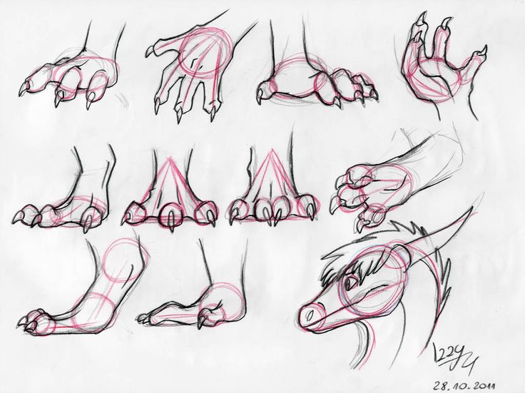 a drawing of hands and feet with different angles to each other, all drawn in one point