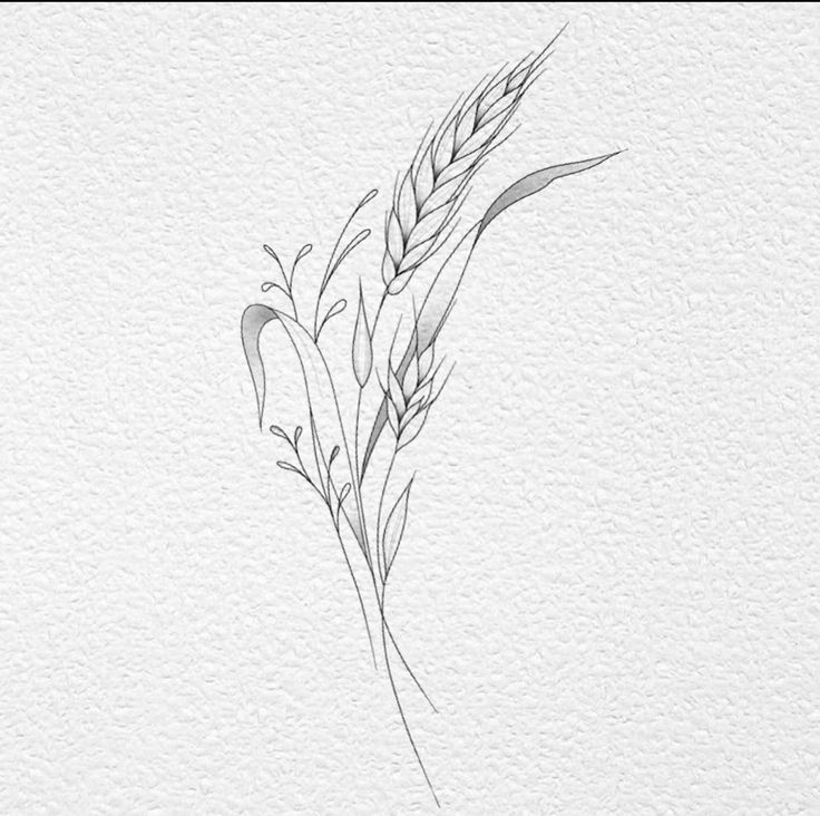 Rye Plant Tattoo, Wheat Tattoos For Women, Hay Tattoo, Ukraine Tattoo Ideas, Small Flower Tattoos For Women, Farm Tattoo, Wheat Tattoo, Cowgirl Tattoos, Ankle Tattoos For Women