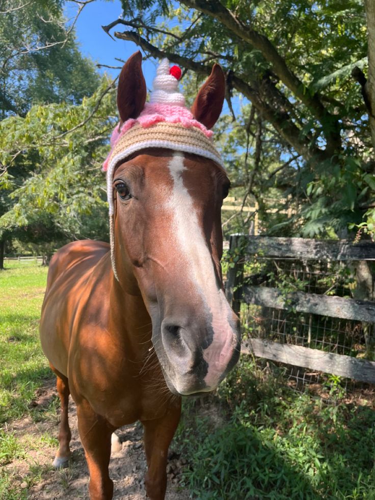 a brown horse wearing a pink and white hat