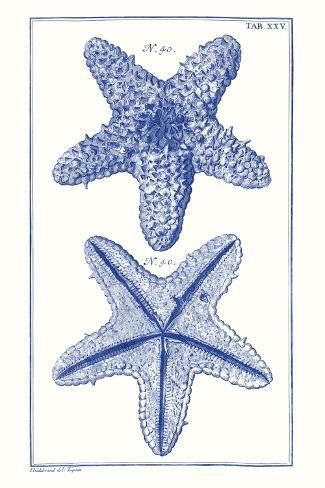 three starfishs are shown in blue ink