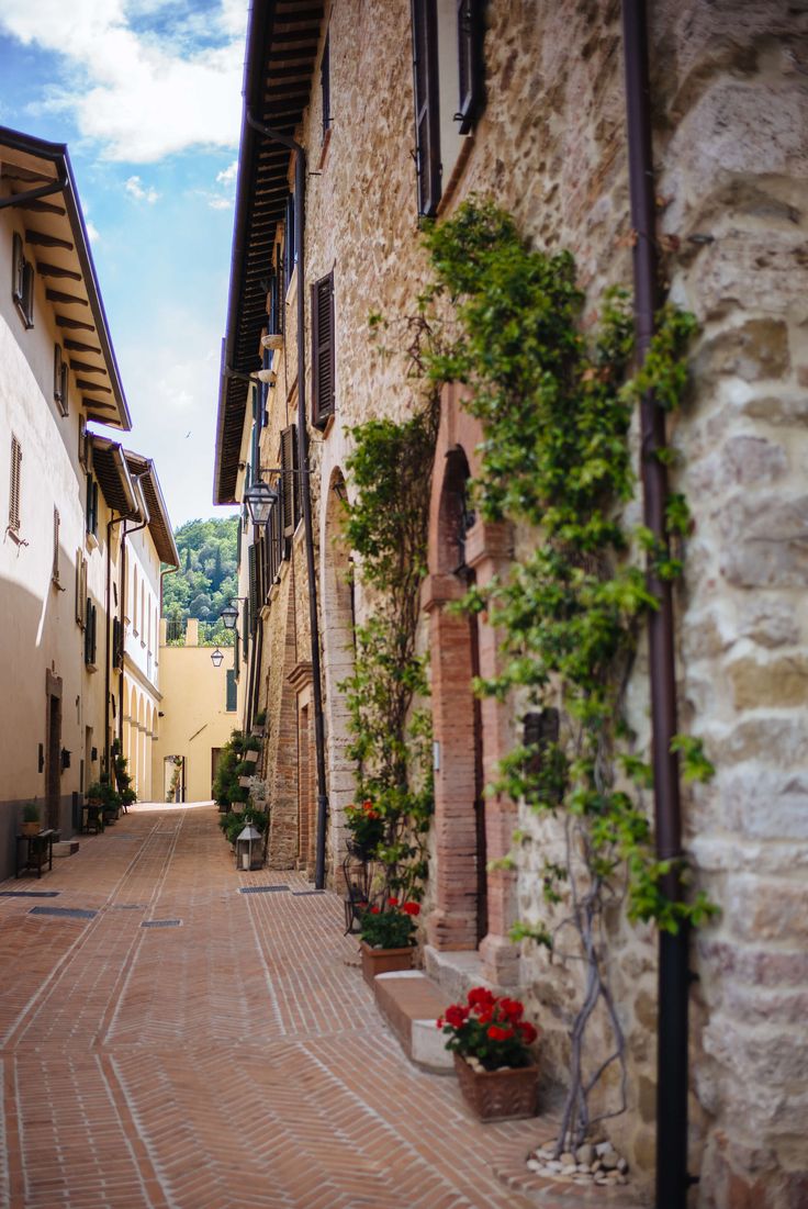 an alley way with potted plants and flowers on the side walk between two buildings