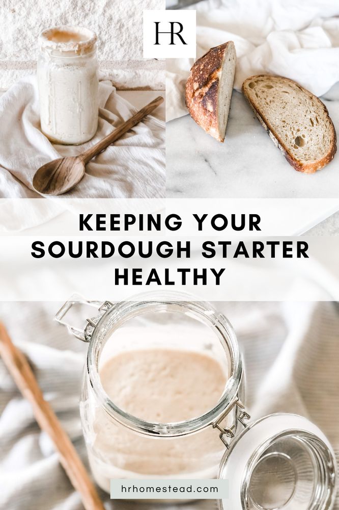 a collage of photos with the words keeping your sourdough starter healthy