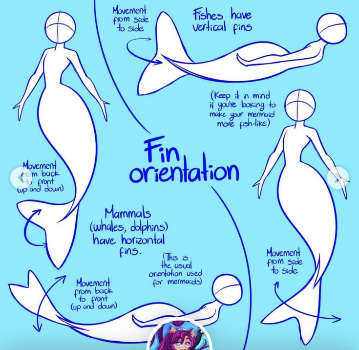 an info sheet showing how to draw mermaids