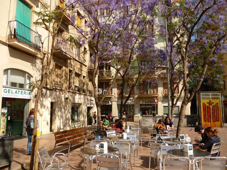 people are sitting at tables and chairs in the shade of purple trees on a city street