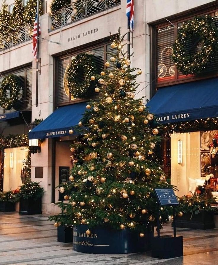 a large christmas tree in front of a store