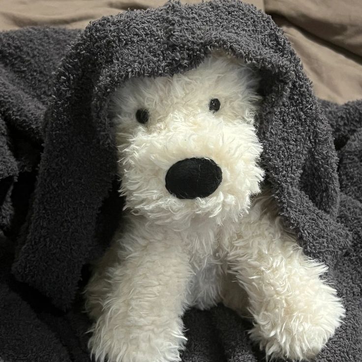 a white dog wrapped in a gray blanket