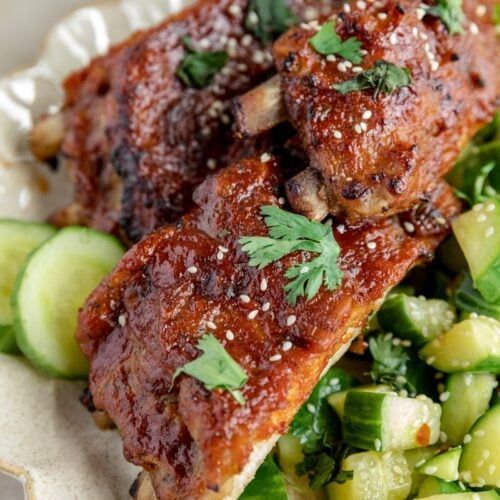 two pieces of meat sitting on top of cucumber and coriant salad