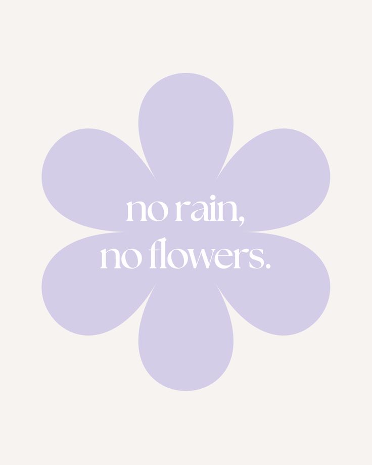 a purple flower with the words no rain, no flowers