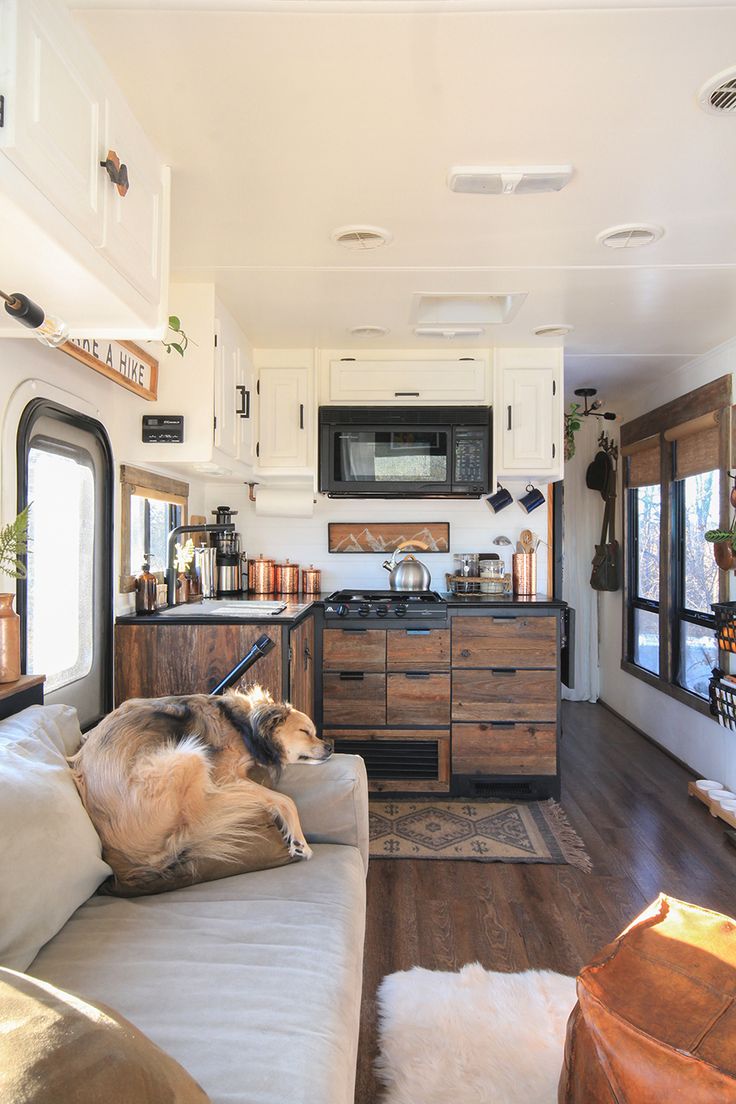 a dog laying on the back of a couch in a living room next to a kitchen