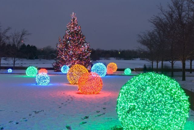 christmas lights are lit up in front of a large tree on the snow covered ground