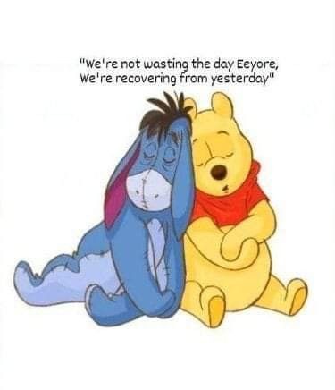 two winnie the pooh hugging each other in front of a quote that says we're not using the day everyone, we're recovering from yesterday