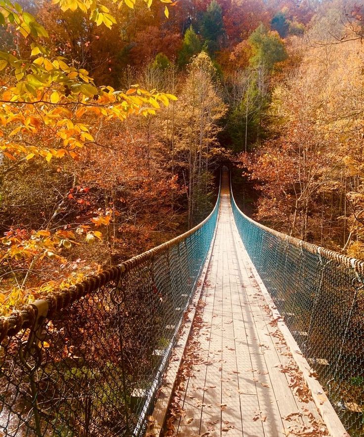 a suspension bridge surrounded by trees in the fall