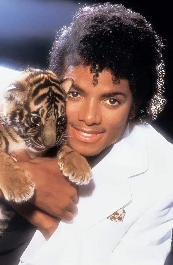 michael jackson holding a tiger cub in his arms