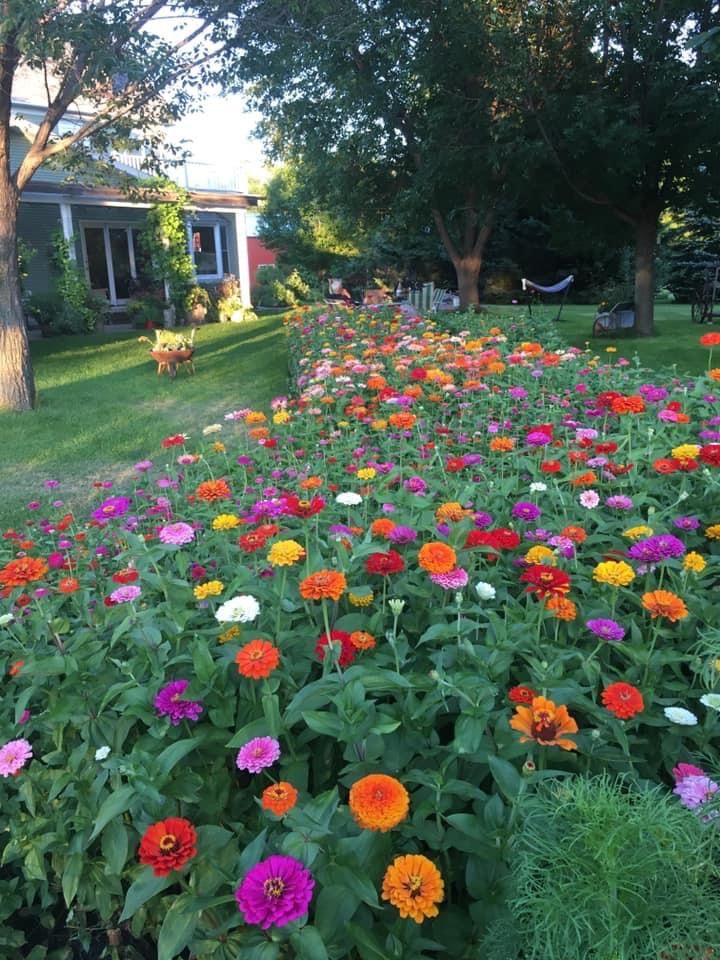 many different colored flowers are in the grass near trees and a lawn with a house behind it