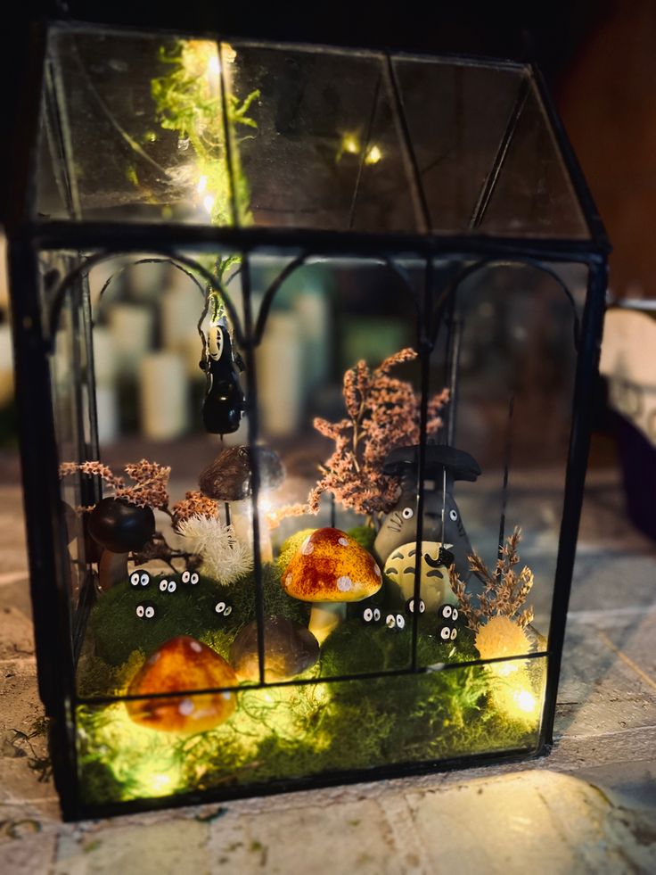 a glass box with some plants inside of it on the ground next to a light