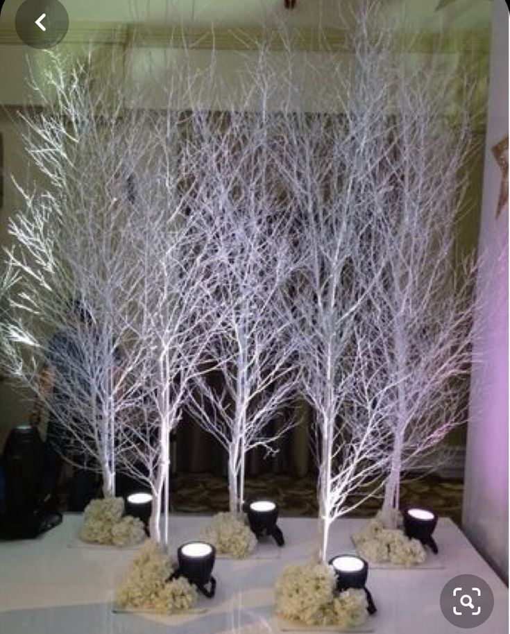 a table topped with lots of white trees