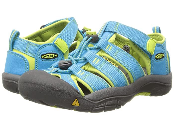 Keen Kids Newport H2 (Little Kid/Big Kid) (Hawaiian Blue/Green Glow) Kids Shoes They're sure to find new adventures with dependable comfort in the reliable Keen Kids Newport H2 shoes. The quick-drying water shoes are constructed in a breathable webbed upper with a hydrophobic mesh lining. Sporty sandal is designed with a protective toe bumper bungee lacing with an adjustable toggle and a padded collar with a pull-tab heel. Constructed with a c #KeenKids #Shoes #OpenFootwear #CasualSandal #Blue Wedges Shoes Outfit, Sporty Sandal, Adidas Kids, Blue Hawaiian, Water Shoes, Big Kid, Casual Sandals, Sketchers Sneakers, Free Clothes