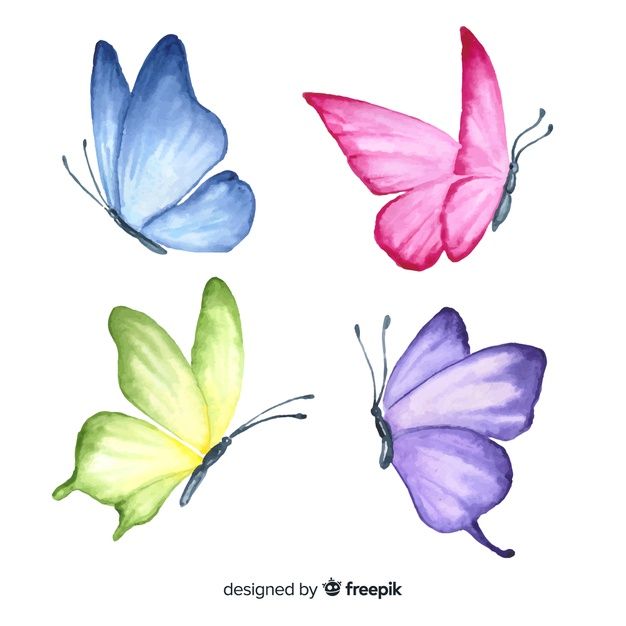 four butterflies painted in different colors