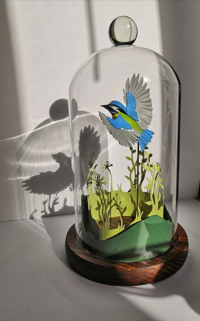 a glass cloche with an image of a bird under it on a wooden base