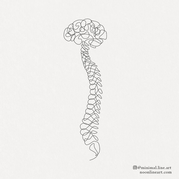 Brain and Spine | Tattoo Permission Form - Noon Line Art Beautiful Anatomy Art, Brain And Spine Tattoo, Brain And Spine Logo, Chiropractor Tattoo, Physiotherapy Tattoo, Neuron Tattoo, Practice Aesthetic, Line Art Tattoo Design, Spine Drawing