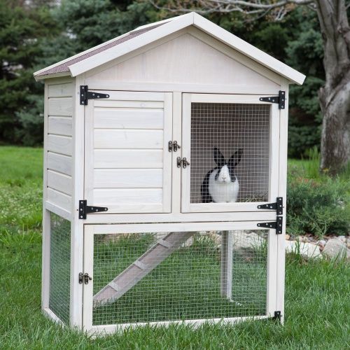 a white rabbit in a small wooden coop