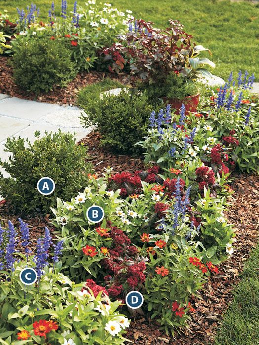 a garden with various flowers and plants in the ground, including bluebells, redbuds, and white daisies