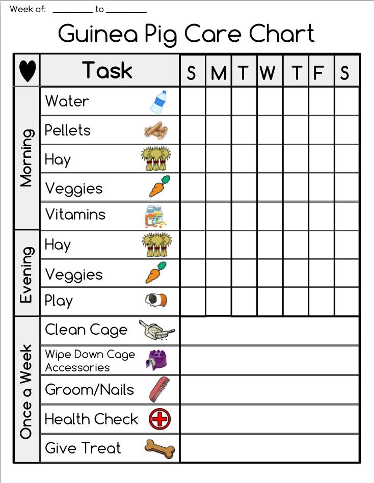 a printable worksheet to help students learn how to use the animal care chart