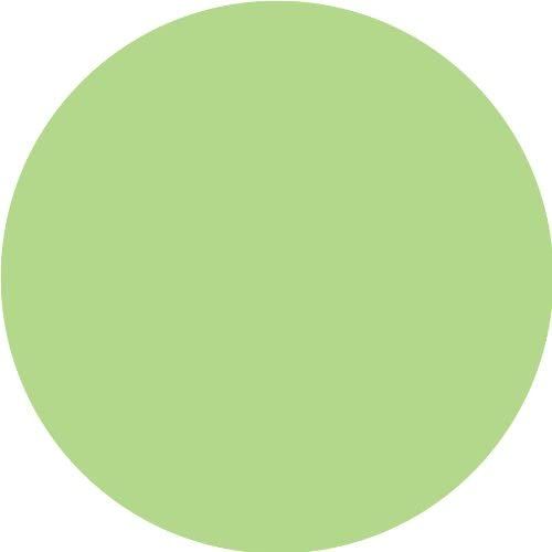 a green circle with white background