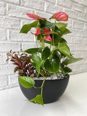 a potted plant sitting on top of a table next to a white brick wall