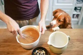 a person is mixing something in a bowl with a dog watching from the other side