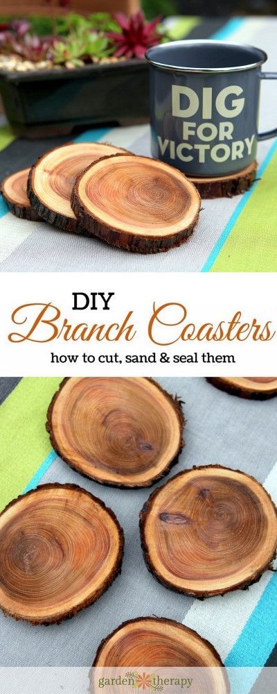 diy branch coasters are easy to make with wood slices and seal them together