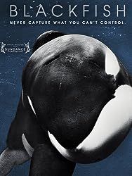 a movie poster for blackfish