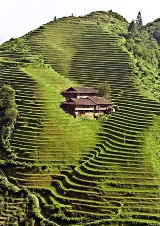 a house on the side of a hill covered in grass