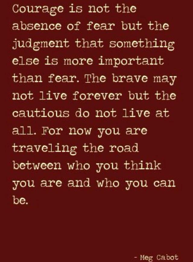 a quote that says, courage is not the substance or fear but the judging that something else is more important than fear