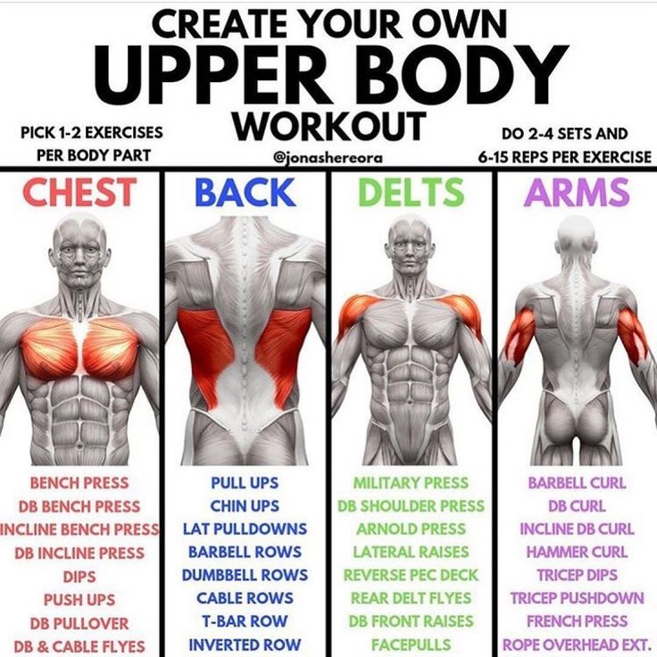 the upper body workout chart shows how to do back and chest exercises for each individual