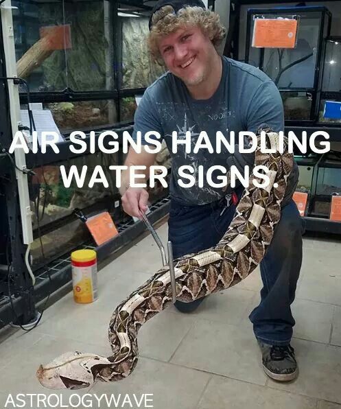 a man holding a large snake in front of a store window with the caption air signs handling water signs