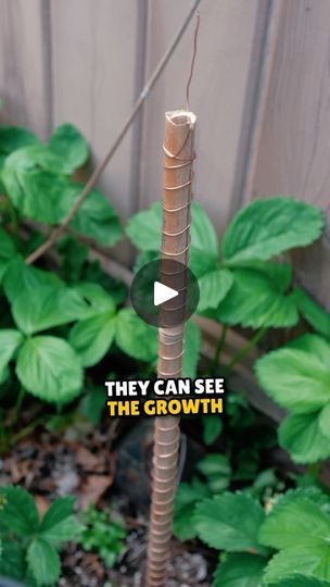 a tall metal pole in the middle of a garden with plants around it and text that reads, they can see the growth