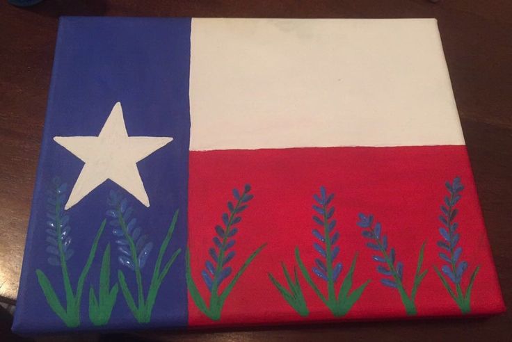 the texas flag is painted on a piece of wood