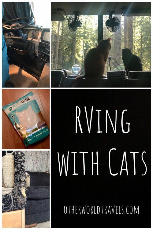 a collage of photos with the words rving with cats on them and pictures of cat in car