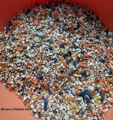 a red bowl filled with lots of birdseed on top of an orange tablecloth