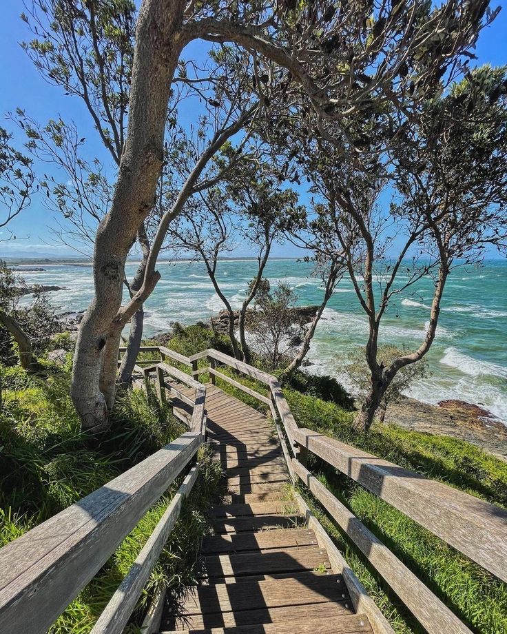 stairs leading down to the beach with trees on both sides and water in the background