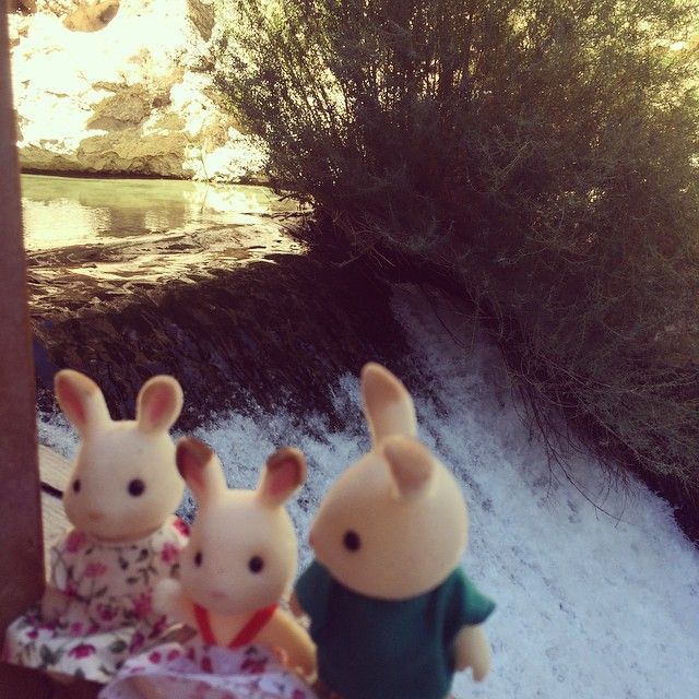 two stuffed animals sitting next to each other in front of snow covered ground and trees