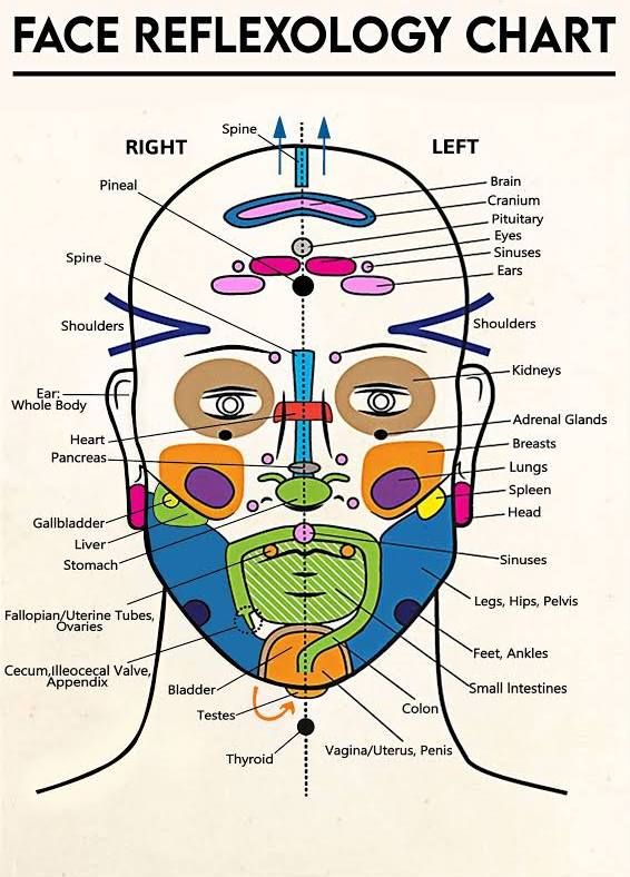 Facial Muscles Anatomy, Face Reflexology, Massage Therapist Gifts, Frameless Art, Heart Diagram, Low Estrogen Symptoms, Reflexology Chart, Too Much Estrogen, Room Theme